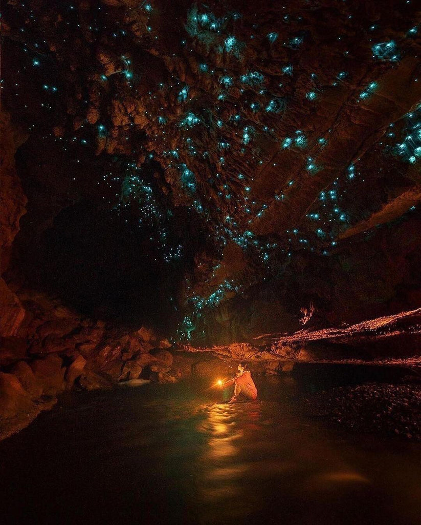 Wonderful Virtual Travel To New Zealand