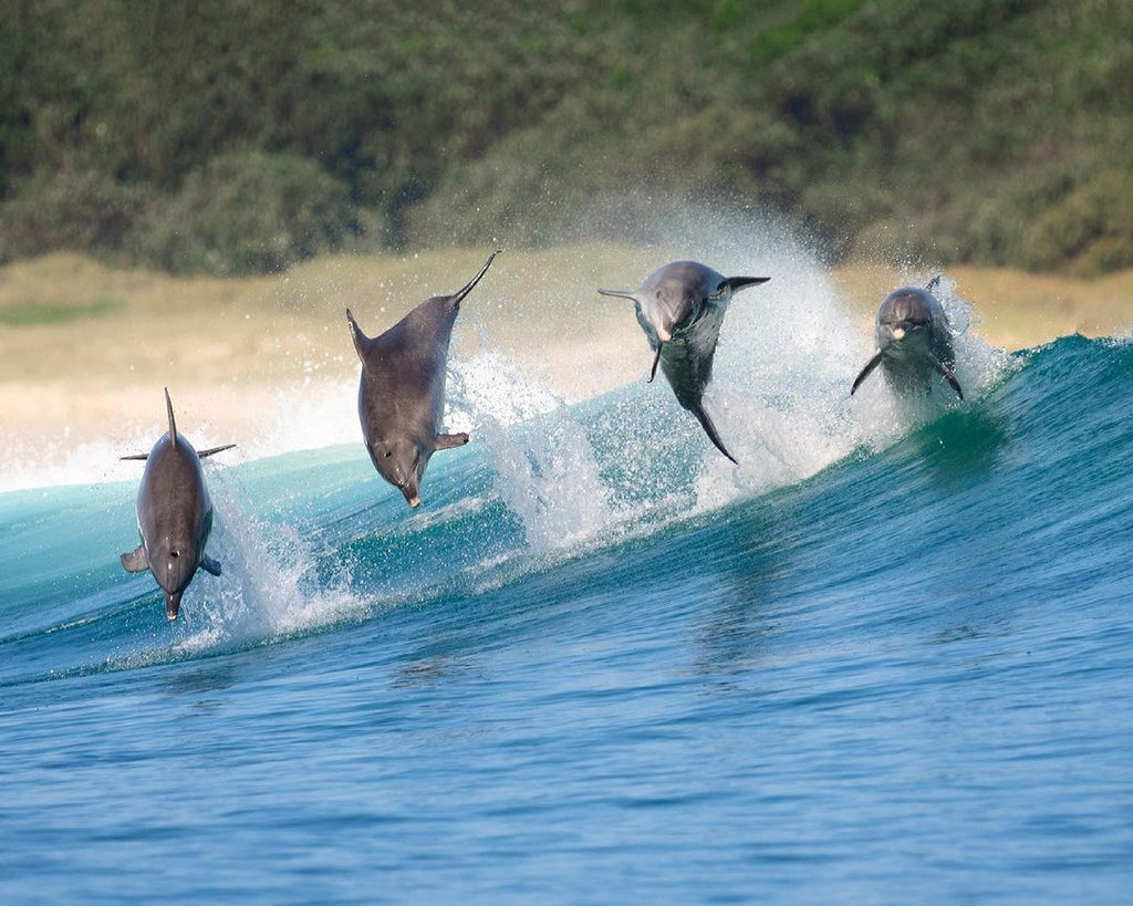The Wonderful Virtual Travel Around Australia