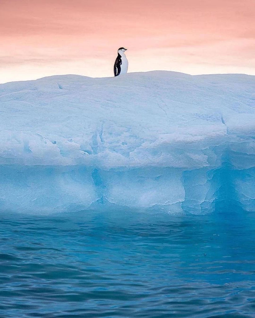 Amazing Bucket List Destinations To Travel To This 2025 #62
