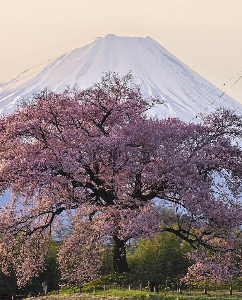 Amazing Bucket List Destinations To Travel To This 2025 #54