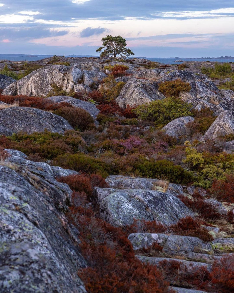 Amazing Bucket List Destinations To Travel To This 2025 #12