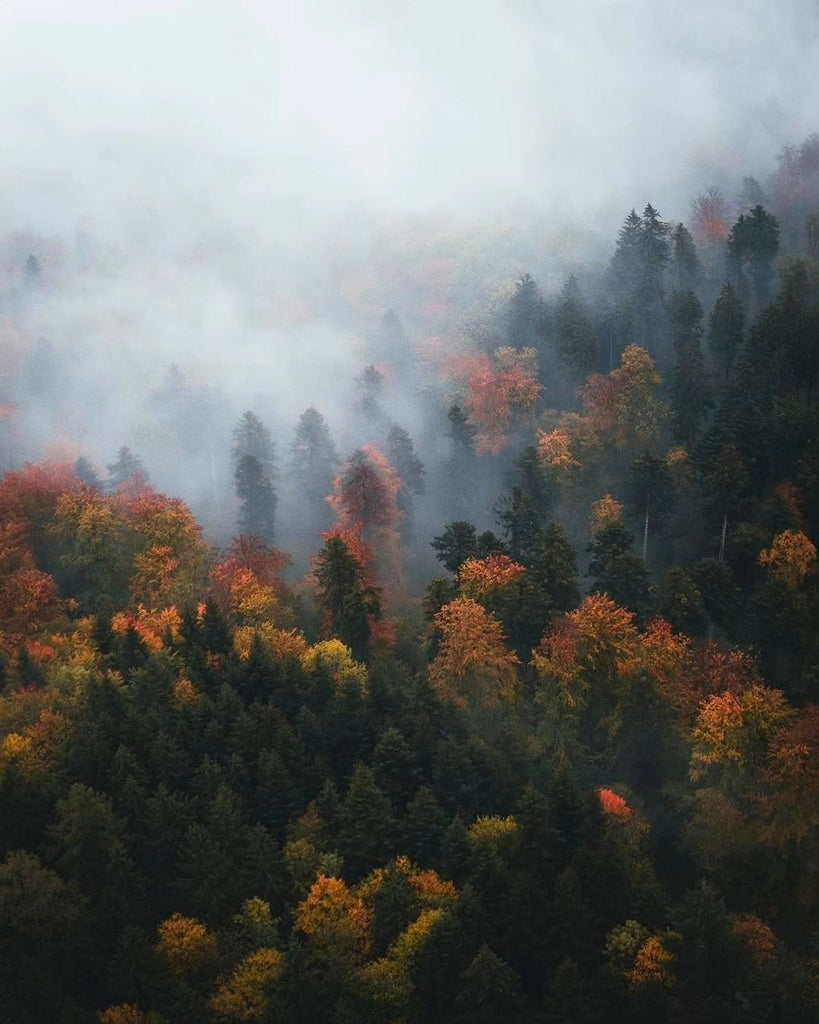 Amazing Bucket List Destinations To Travel To This 2025 #35