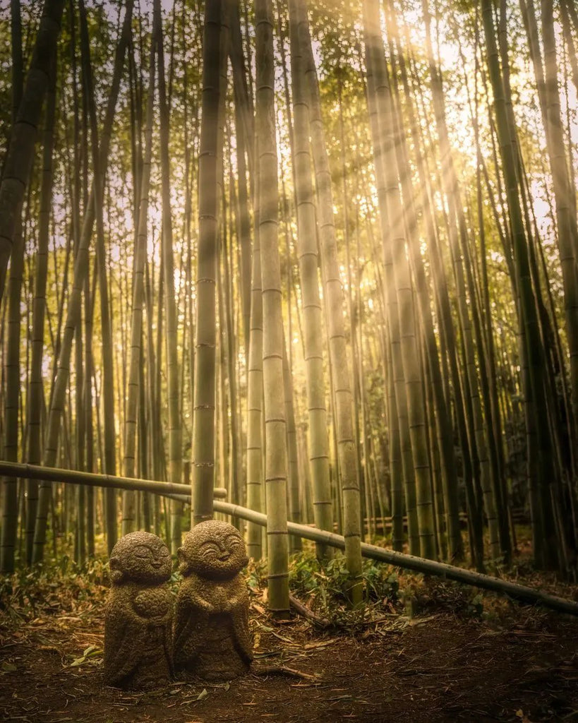 Japan The Bucket List Destination To Travel This April 2023