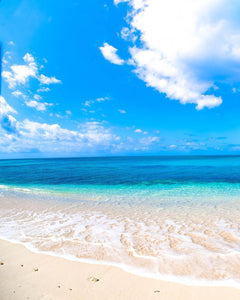 The Best Virtual Travel To The Ocean That You Will Love