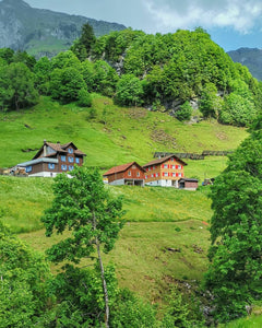 We Will Bring Switzerland to You