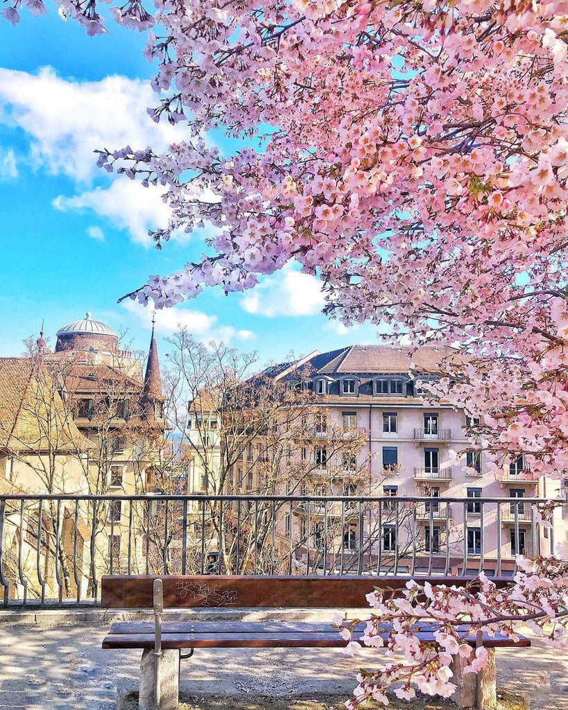 Videos and Photos Travel Around Switzerland