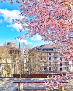 Videos and Photos Travel Around Switzerland