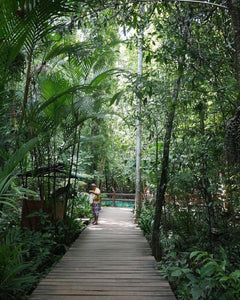 Amazing Bucket List Destinations To Travel To This 2025 #33