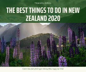 The best things to do in New Zealand 2021