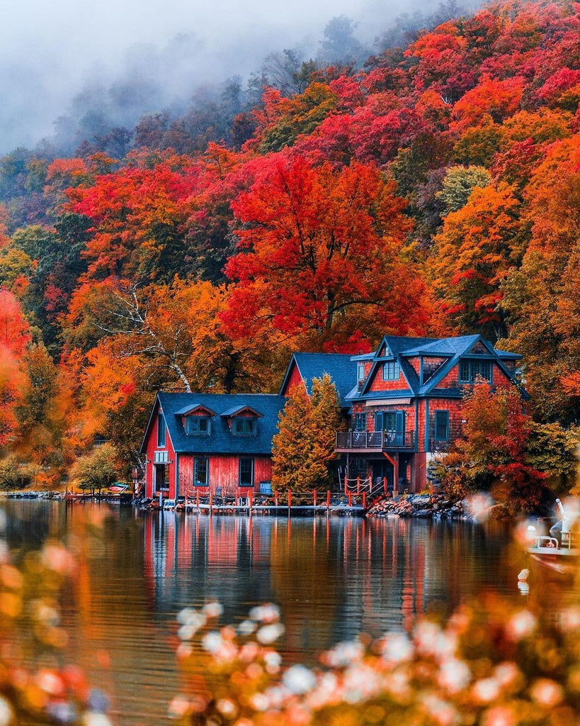 Wonderful Autumn Virtual Travel Around The World