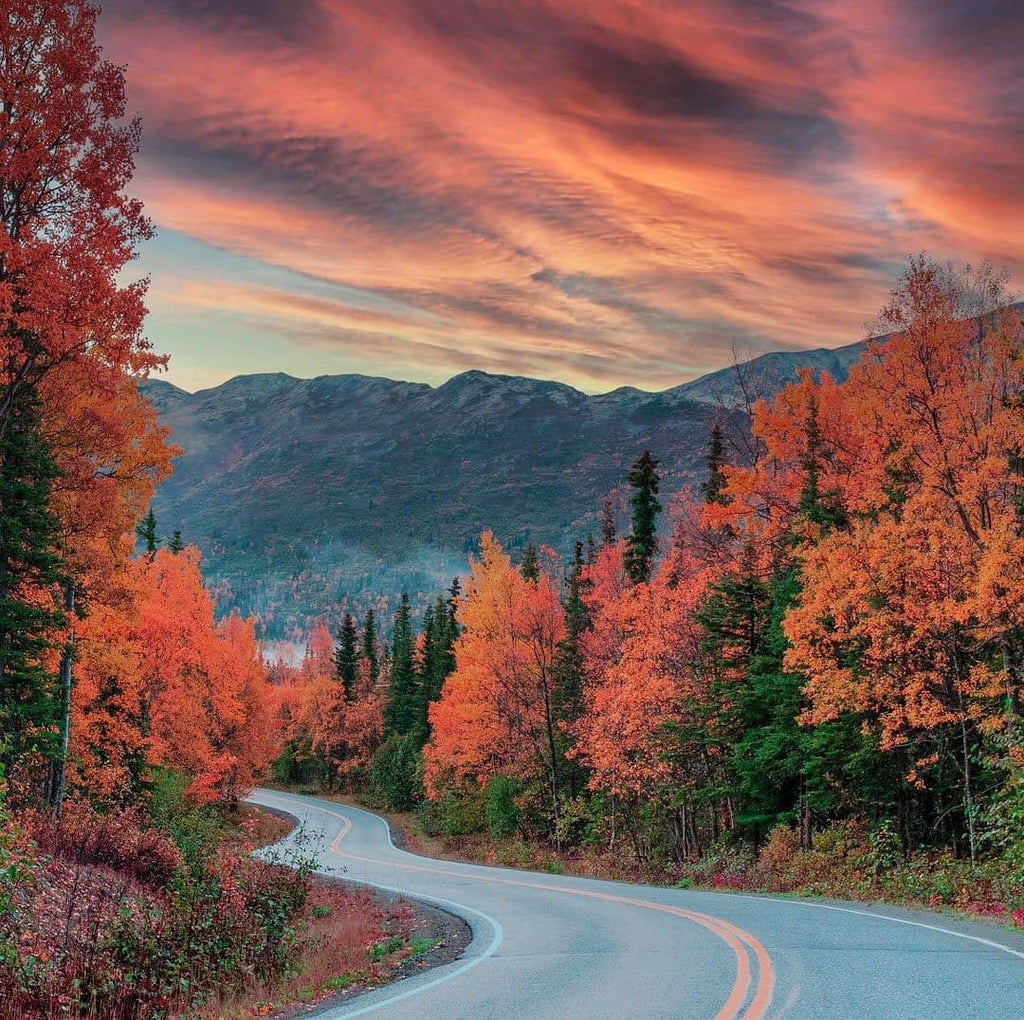 Videos and Pictures Travel Around This Wonderful World