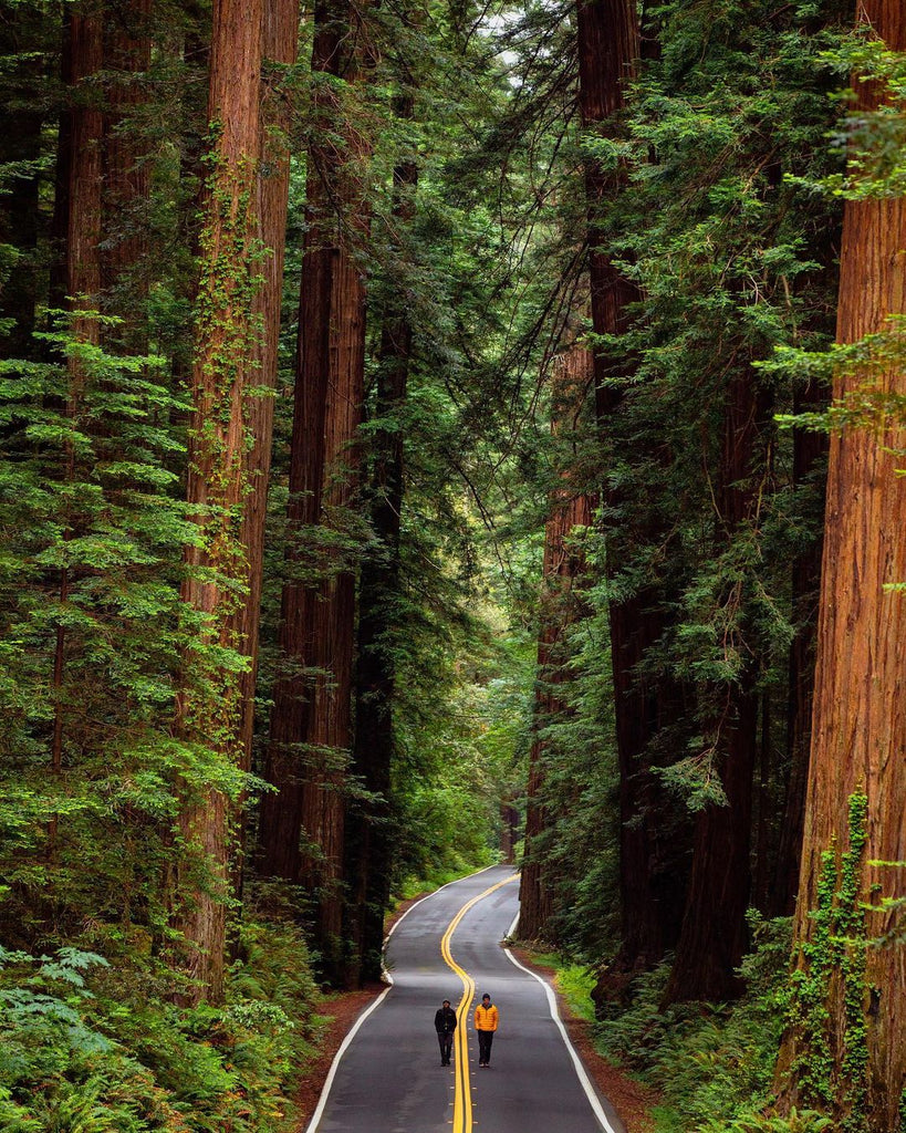 Wonder Travel Destinations Around The World