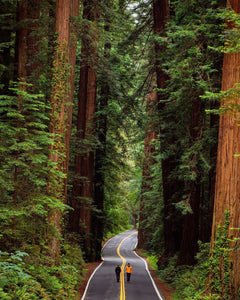Wonder Travel Destinations Around The World