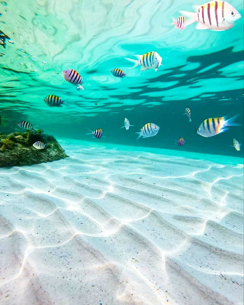 Tropical Paradise Virtual Places