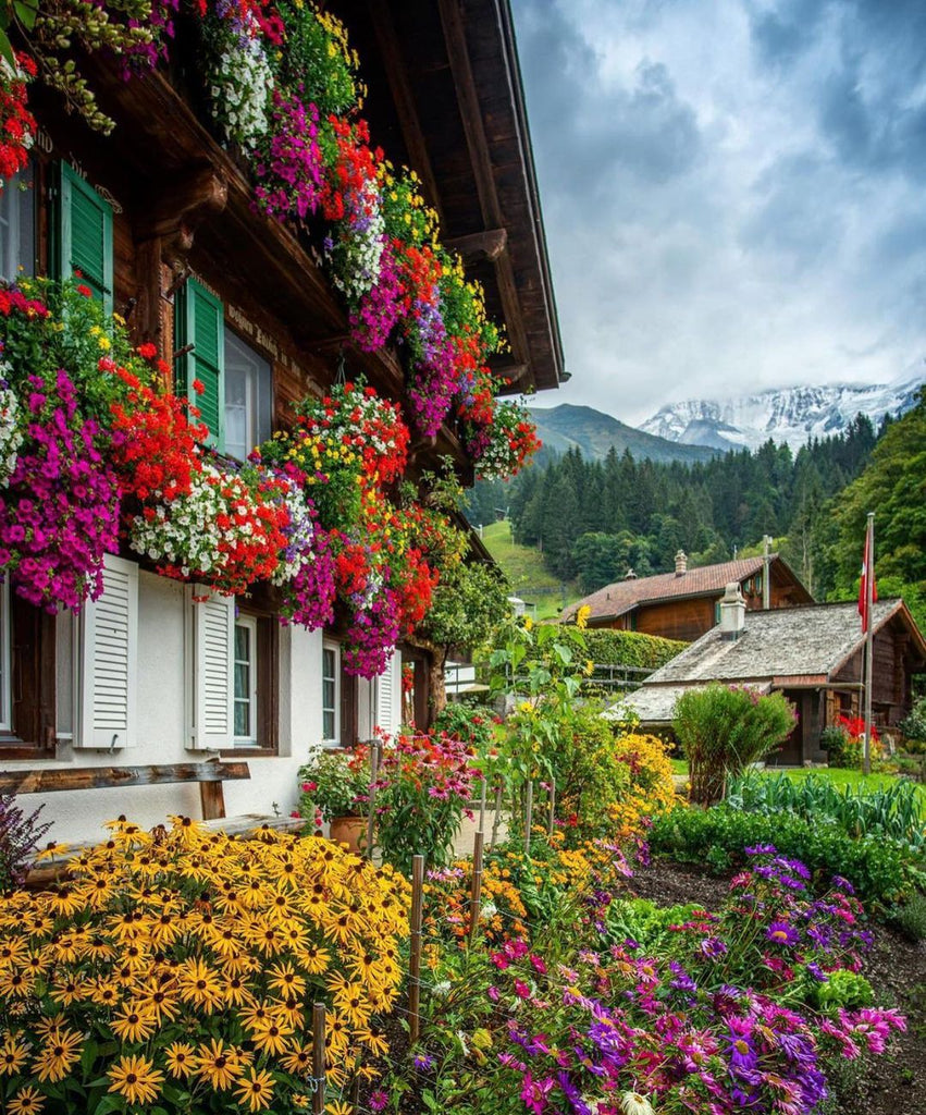 Wonderful Travel Bucket Places You Must Travel Once