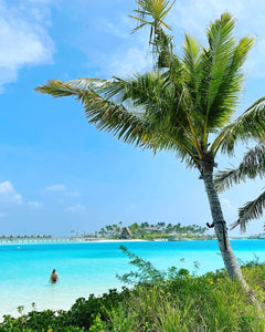 The Only Maldives Paradise Videos For You