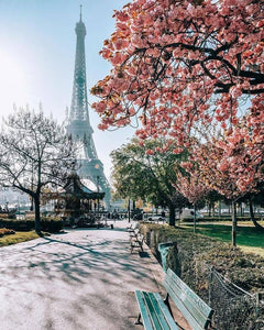 Daily Videos Travel Around The World ( April 29 )